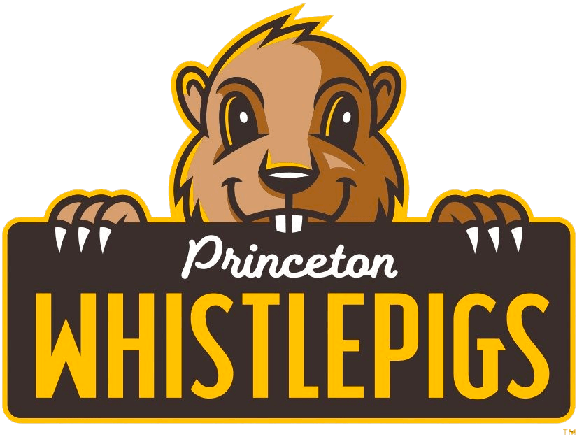 Princeton WhistlePigs 2021-Pres Primary Logo iron on transfers for clothing